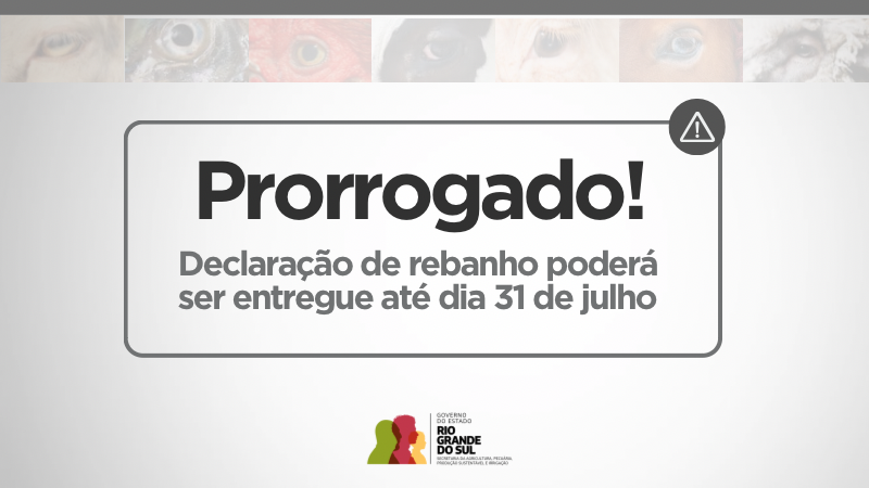 capa site   declaração prorrogação 