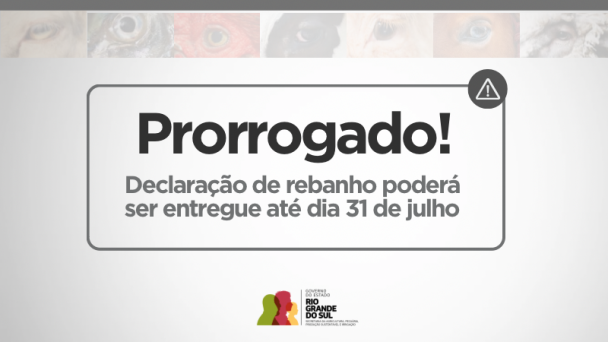 capa site   declaração prorrogação 