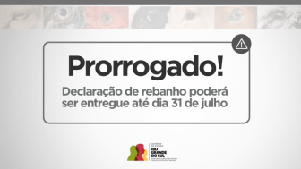 capa site   declaração prorrogação 
